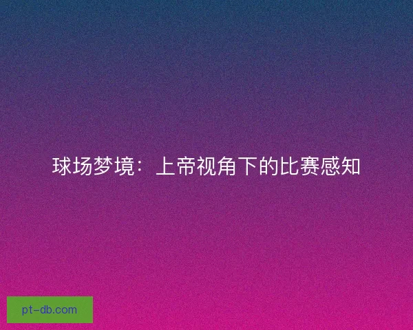 球场梦境:上帝视角下的比赛感知 球场梦境:上帝视角下的比赛感知