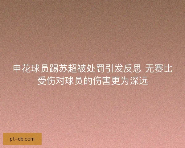 申花球员踢苏超被处罚引发反思 无赛比受伤对球员的伤害更为深远 申花球员踢苏超被处罚引发反思 无赛比受伤对球员的伤害更为深远